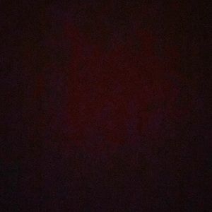 Meet your Posher, Honey